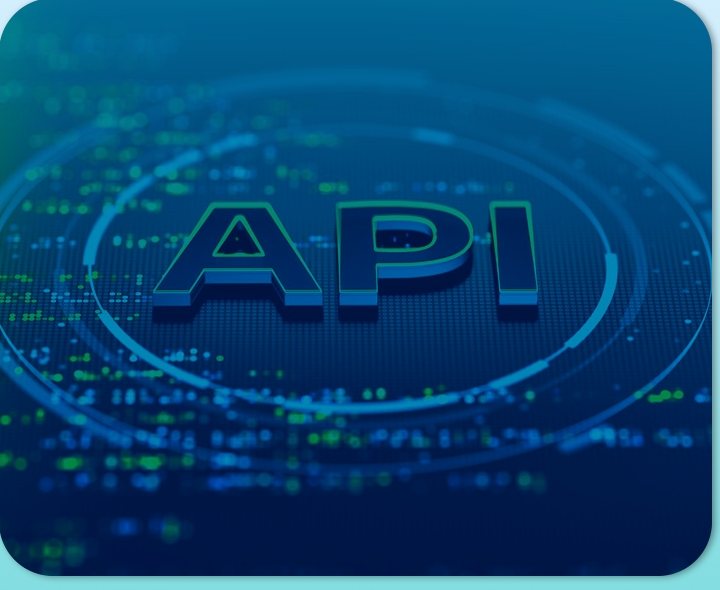 About the API